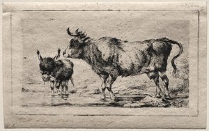 Cow and Ass by Charles Meryon