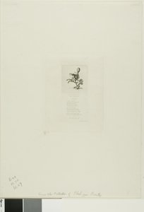 Little Prince Dito by Charles Meryon