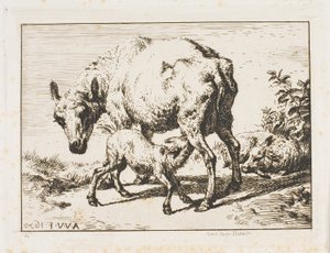 The Ewe with Two Lambs by Charles Meryon