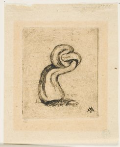 The Sickly Cryptogam by Charles Meryon