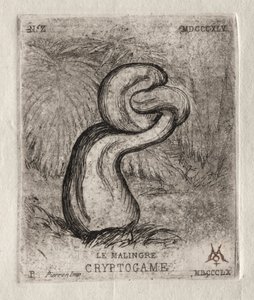 The Sickly Cryptogam by Charles Meryon