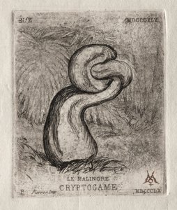The Sickly Cryptogam by Charles Meryon