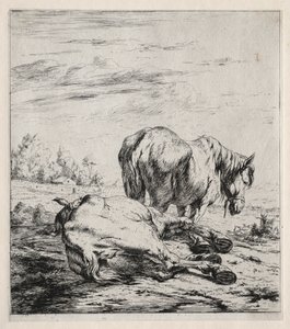The Two Horses by Charles Meryon