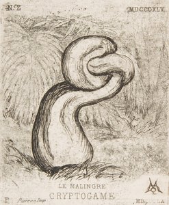 The Puny Cryptogamia by Charles Meryon