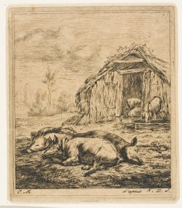 Three Pigs Lying in Front of a Shed by Charles Meryon