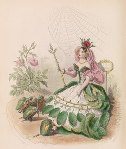 The Animated Flowers, 1867