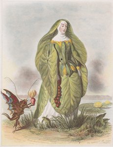 Nenuphar, from Les Fleurs Animées