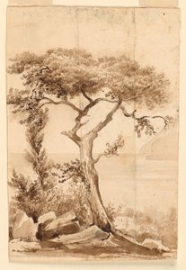 At the Coast of the Mediterranean Sea by Charles Nicolas Ransonnette