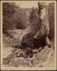 Cascading Stream