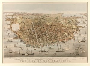 The City of San Francisco - Bird by Charles Parsons