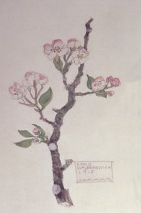 Apple, Walberswick, 1915