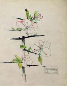 Blackthorn, Chiddingstone, Kent
