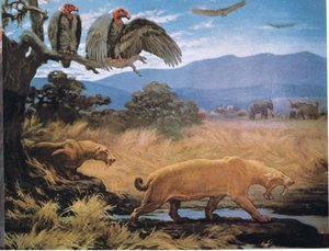 Sabre Tooth Cats by Charles Robert Knight