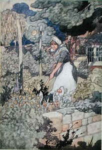 A cottage garden