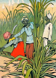 At Work Among The Sugar-Canes, 1912 by Charles Robinson