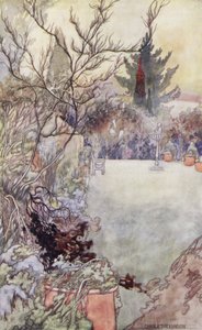 Our Sentimental Garden: The Holly Tree