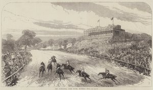 The Alexandra Park Races, Muswell Hill by Sir John Charles Robinson