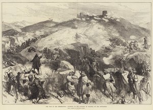 The War in the Herzegovina, Storming of the Fortress of Palanka by the Insurgents