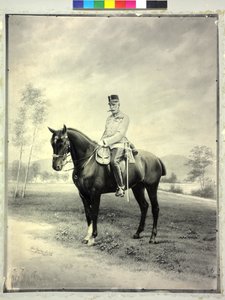 Archduke Rainer of Austria by Charles Scolik