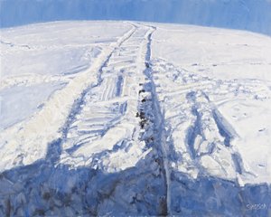 Deep Snow, 2010