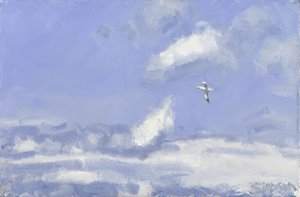 Gannet & Clouds, 2016