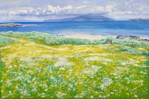 Machair, North End Iona, 2015 by Charles Simpson