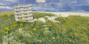North Uist Grasses, 2013