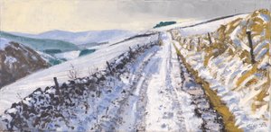 Track to Clovenfords, 2017