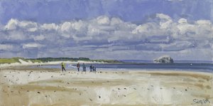 Walkers & Gannets, Bass Rock, 2016