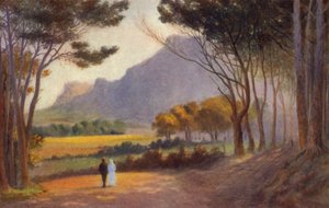 Cape Peninsula, South Africa: Alphen
