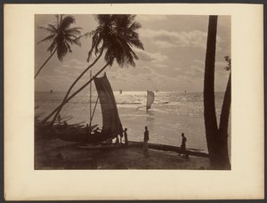 Ceylon by Charles T. Scowen