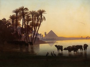 Along the Nile at Gyzeh
