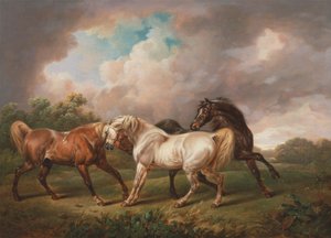 Three Horses in a Stormy Landscape