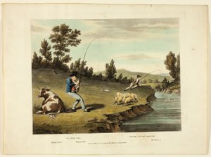 Delights of Fishing