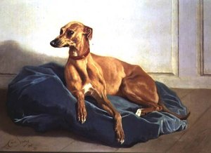 Study of a Hound by Charles Verlat