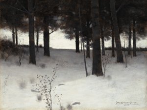 Woods in Winter