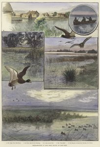 Duck shooting at Long Point Island by Charles Whymper