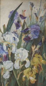 Irises by Charlotte Hodder