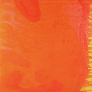 Rabbit Orange by Charlotte Johnstone