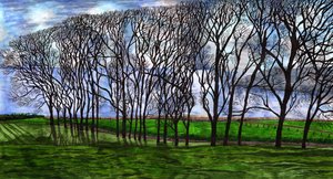 Cushendun, Northern Ireland, 2020 by Charlotte Orr