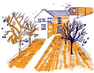 Garden by Charlotte Orr