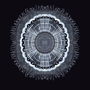 Plant Cell 0.2 by Charlotte Orr