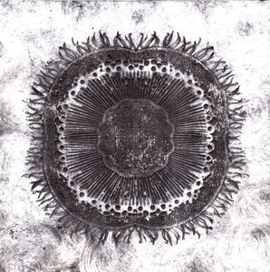 Plant Cells, 2019