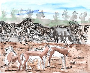 Safari 3 by Charlotte Orr
