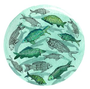 Small Fish Big Pond, 2018