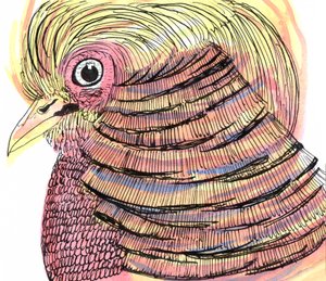 Tropical Bird, 2018 by Charlotte Orr