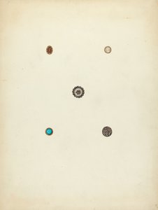 Buttons by Charlotte Winter