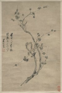 A Cut Branch of Blossoming Plum