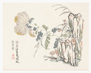 Chrysanthemum, Mustard Seed Garden Manual by Cheng An (after)