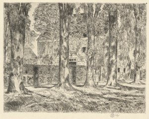 Village Elms, 1923